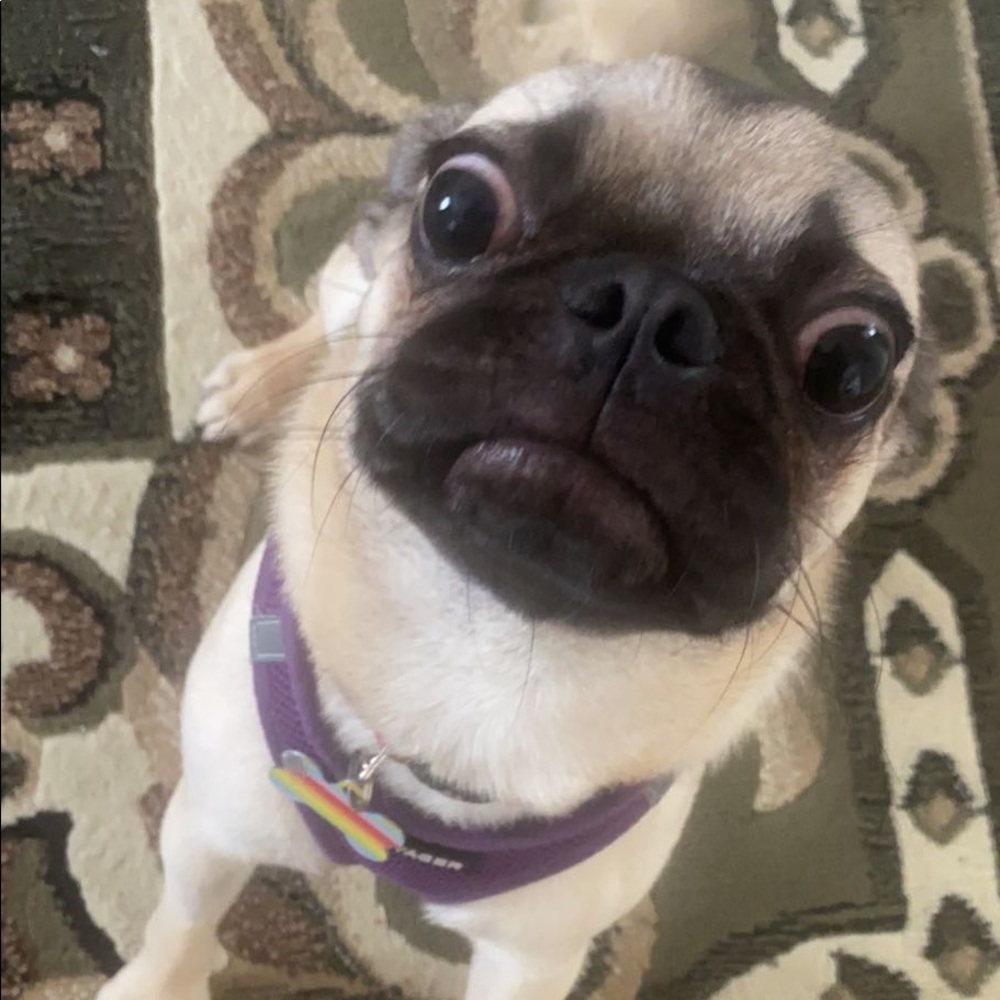 Meet your Posher, Megan